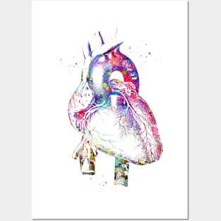 Human Heart Posters and Art